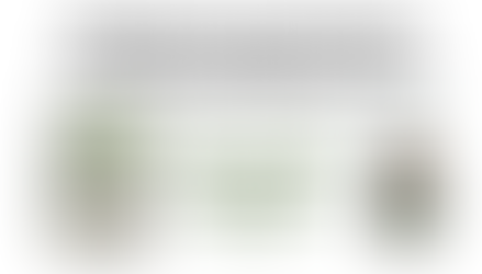 December 3, 2023 - Treetop Canopy Walkway Project at Tanglewood