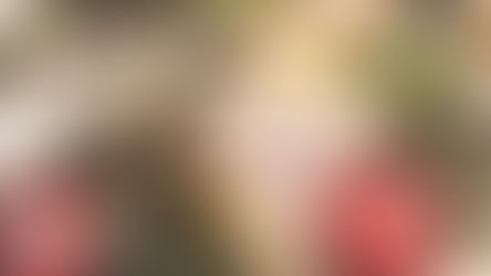 December 24, 2024 - Christmas Eve Services