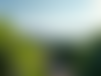 Enhancing Solar Farms with Fulgore Solar Site Care Solutions