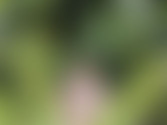 2020 Profile