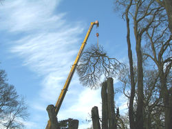 Large Crane Services Available