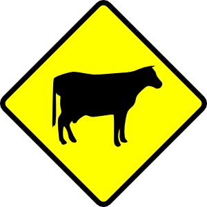Cows Danger Sign
