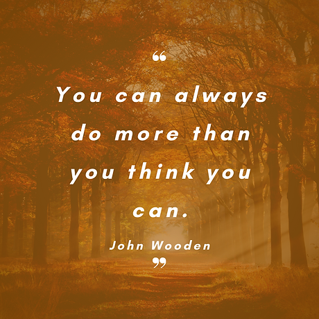 Ability is What you'r capable of doing. 