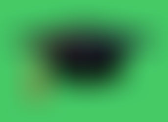 Erfolge unserer ehemaligen Schülerinnen und Schüler