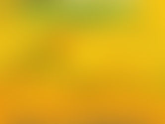 Laufen gegen Krebs - Schulchallenge