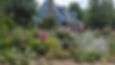 Naturalistic Garden