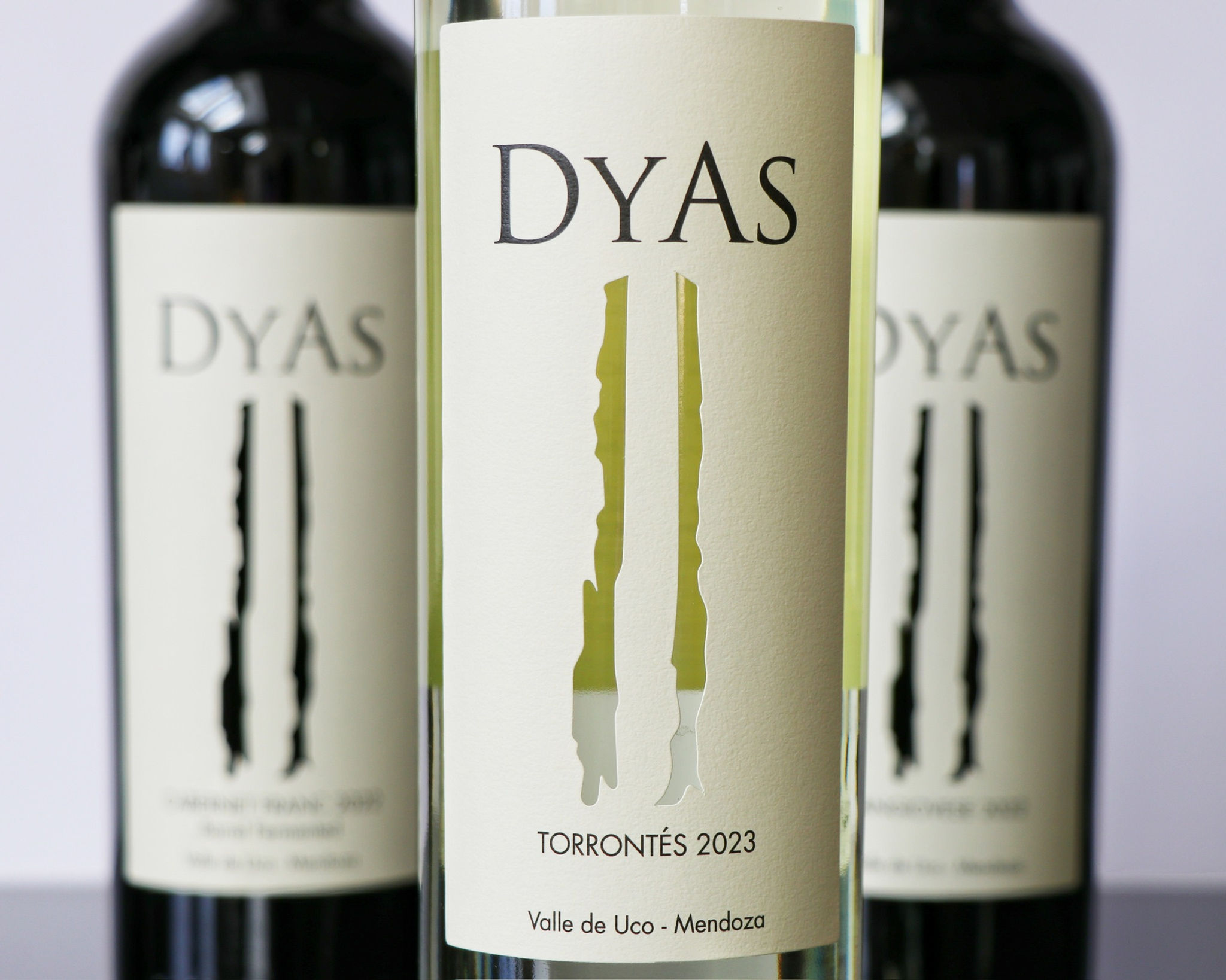 DYAS Torrontes 2023