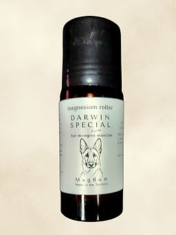 Copy of Darwin Special_edited.jpg