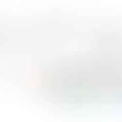 תוכנת BI לעסק