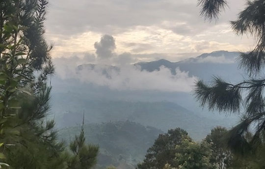 You have to read it to beelieve it