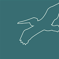 PelicanLogo2 (4).png