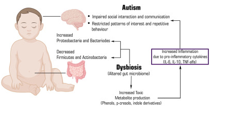 microbiota