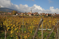 Mittelbergheim  et son vignoble