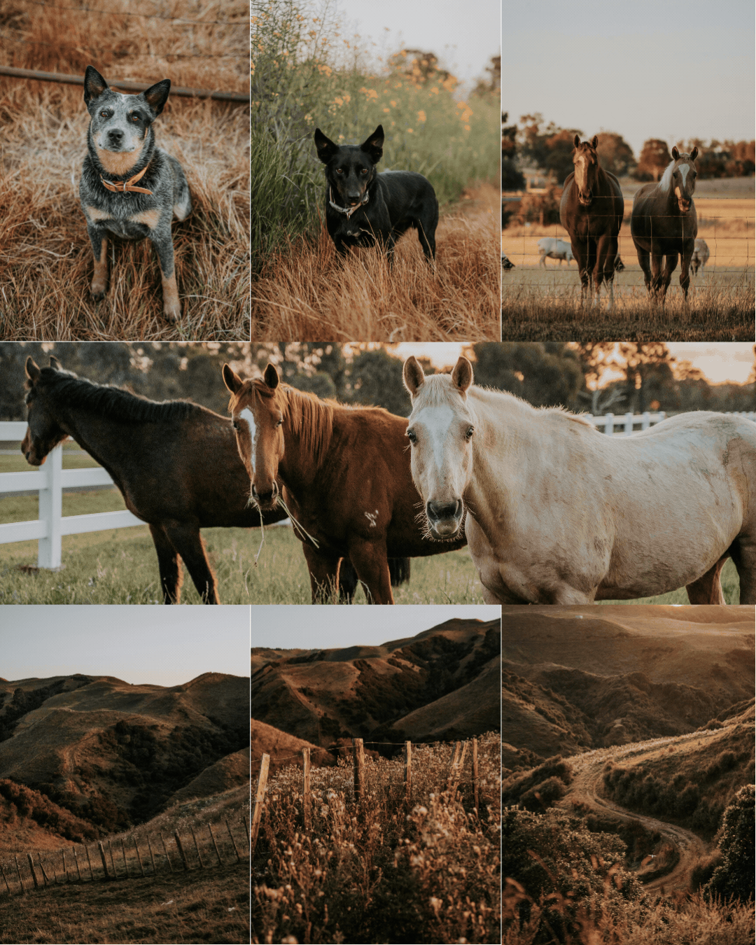 Instagram Post - three landscape images (1).gif