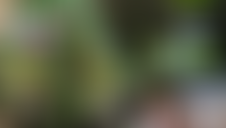 あっという間の2025年