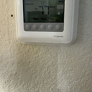 IMG_9448.jpeg