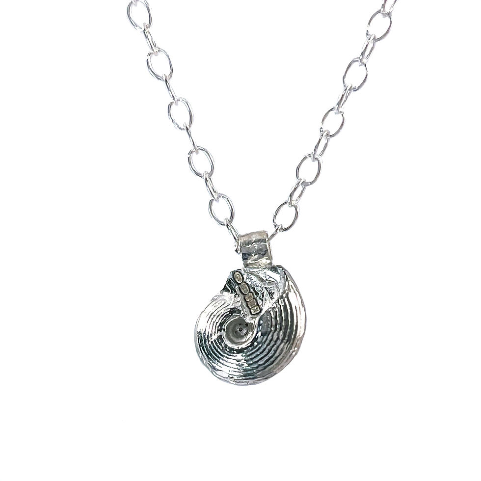 Thumbnail: Turban shell necklace