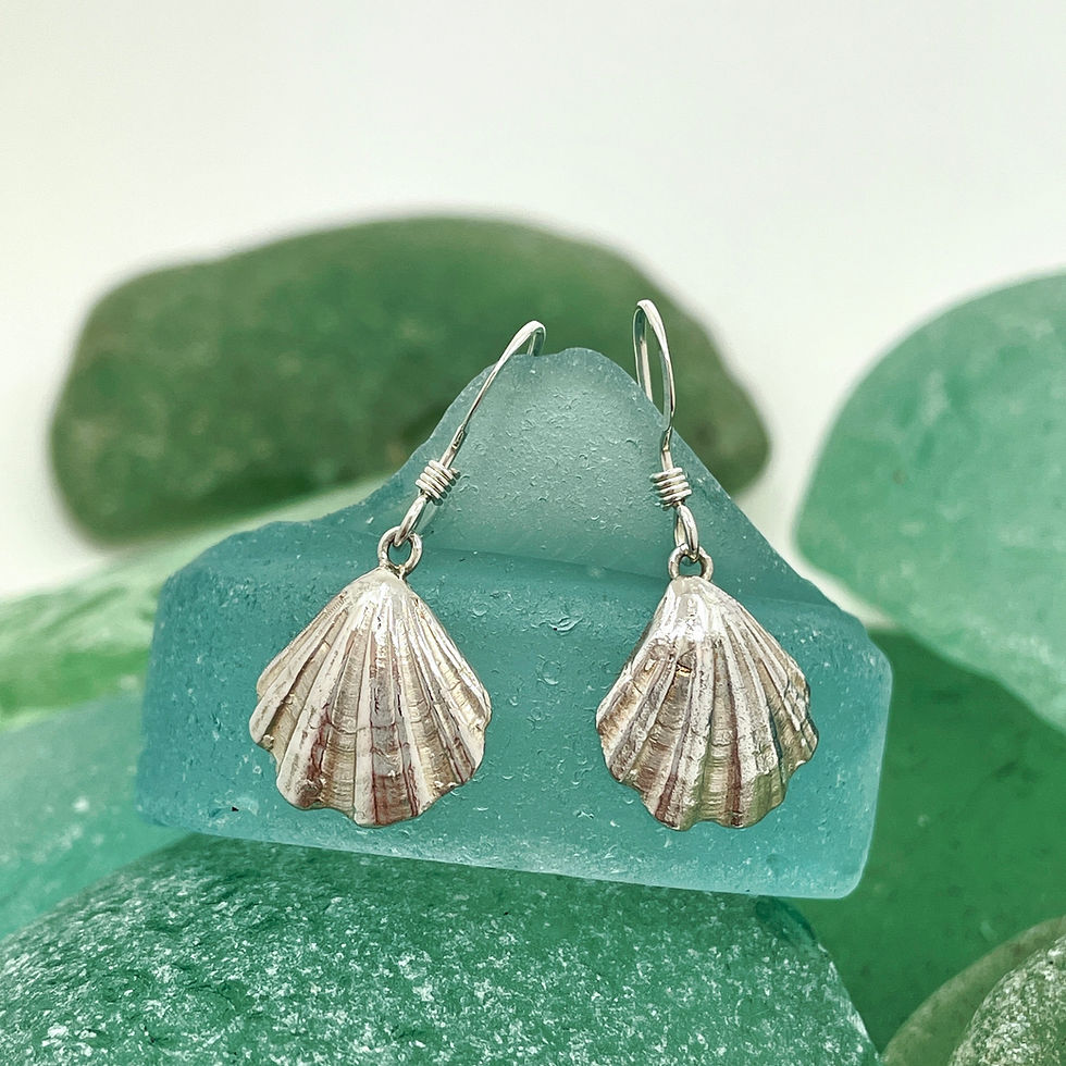 Scallop shell drop earrings