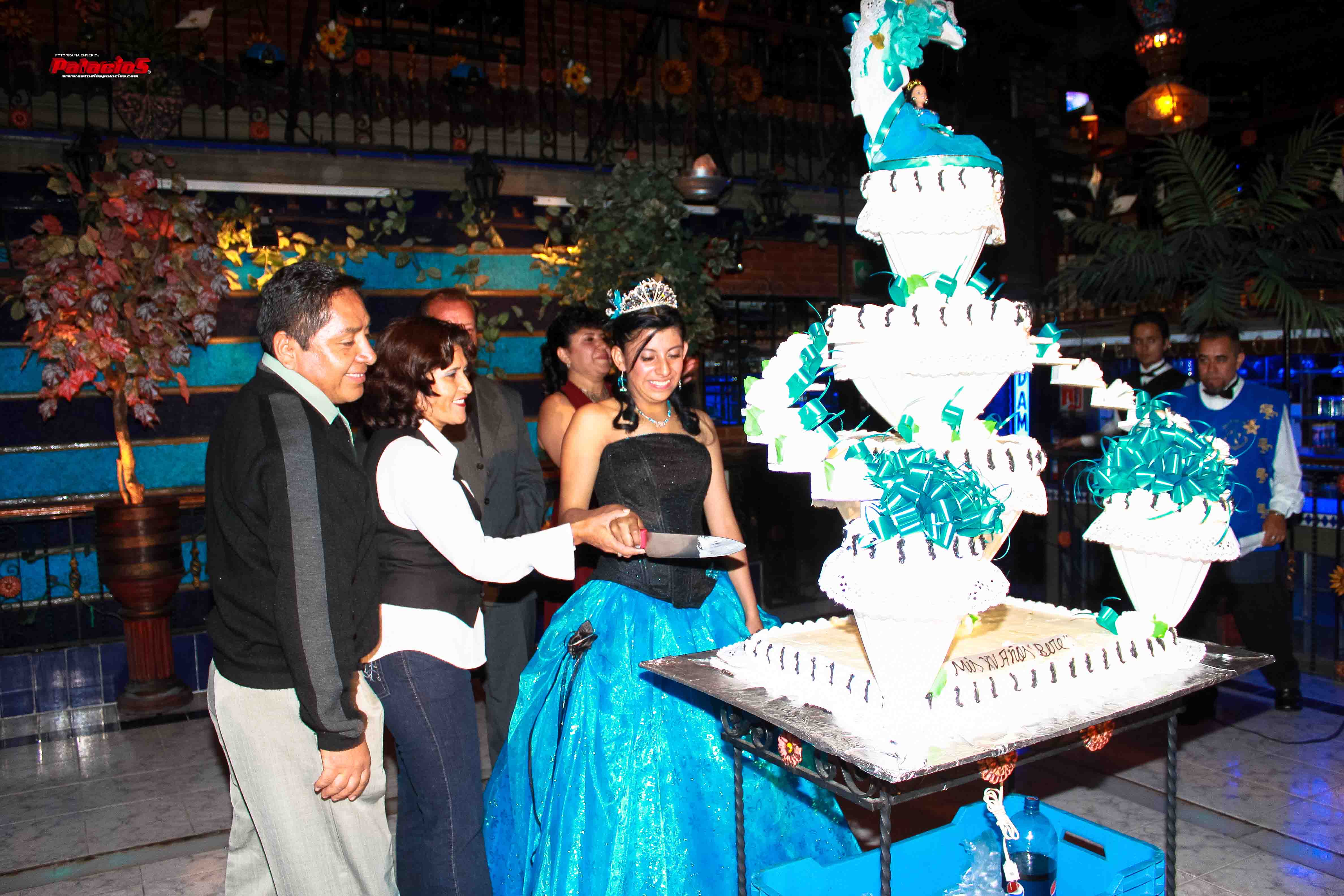 xv años33