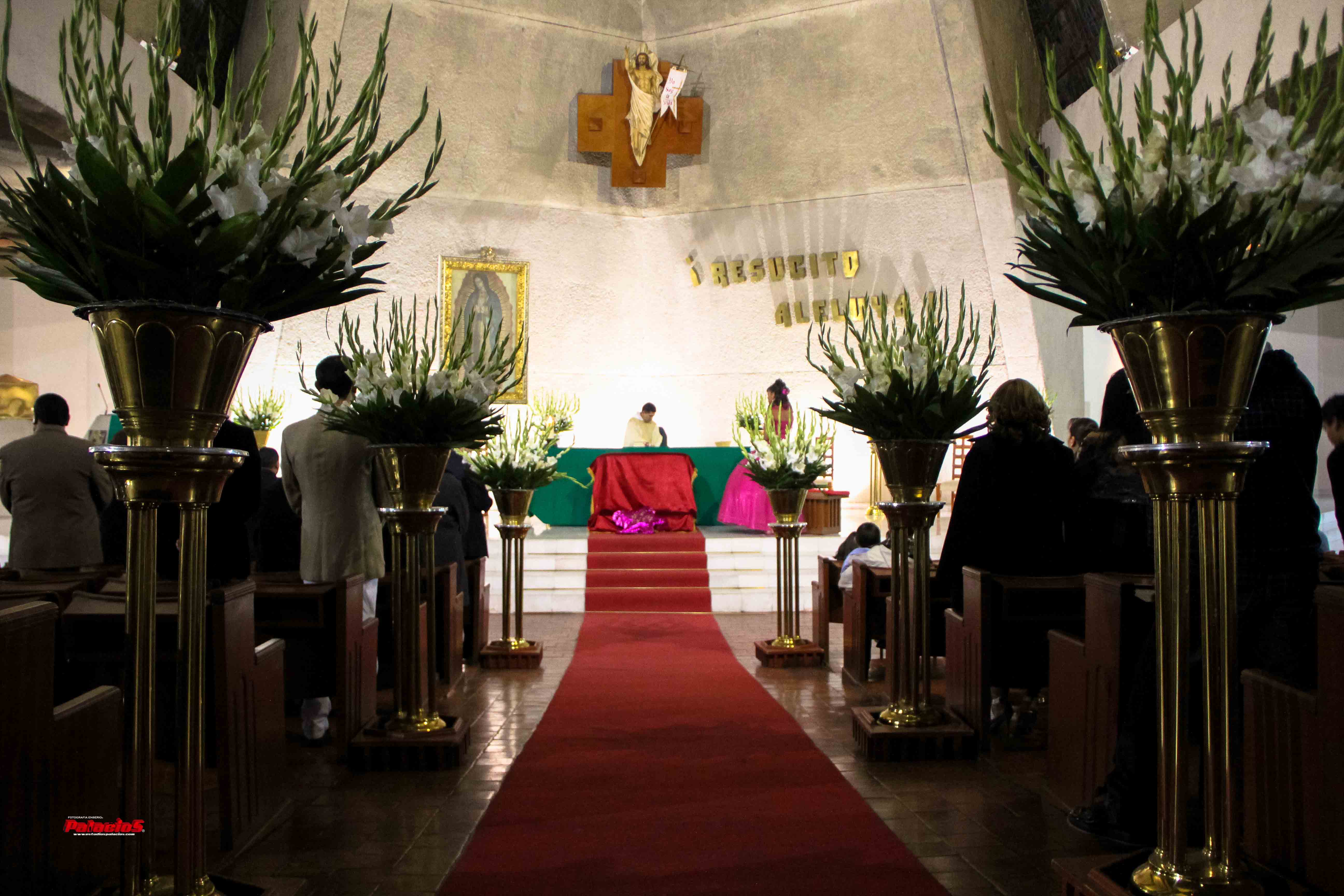 xv_años5
