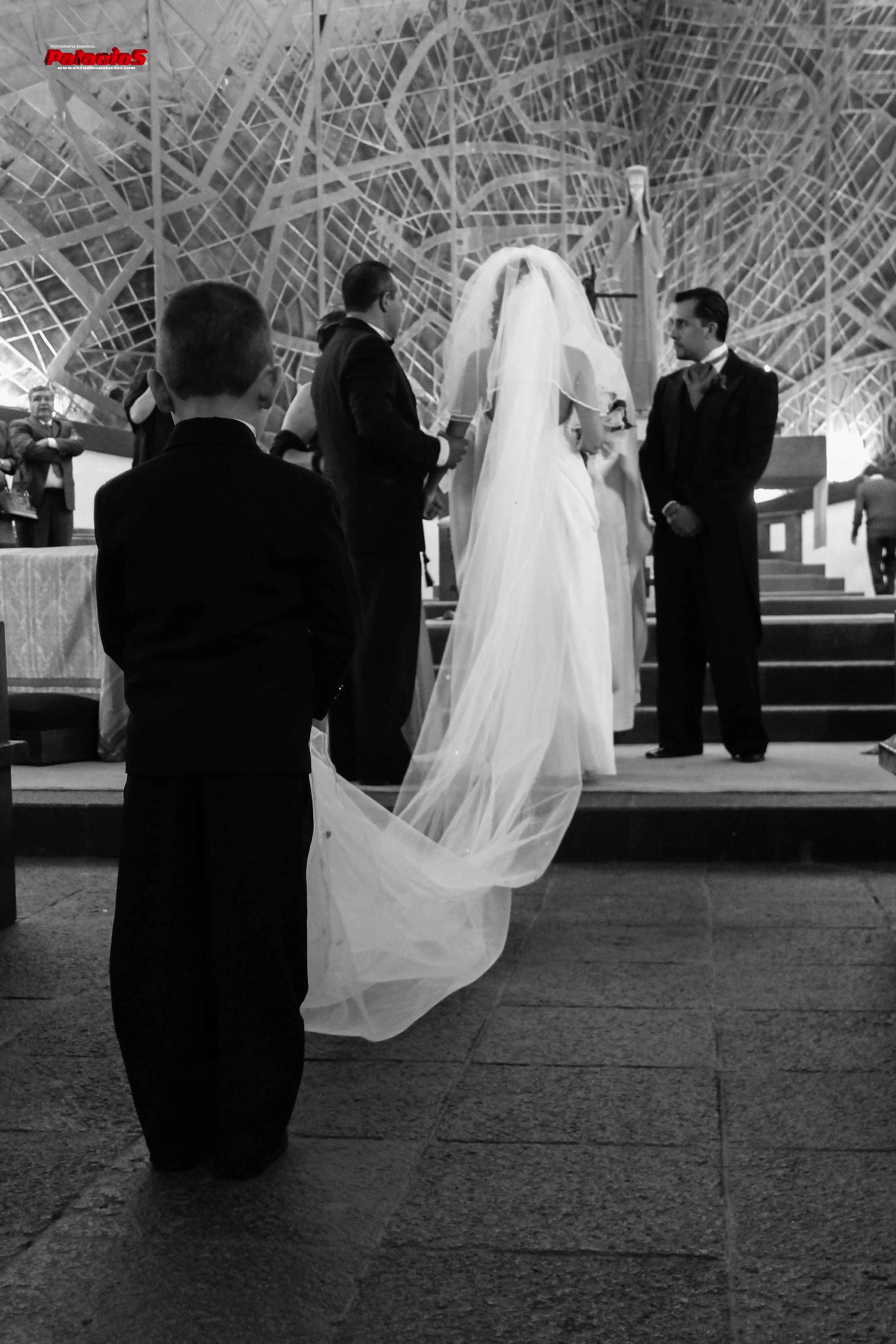 boda6