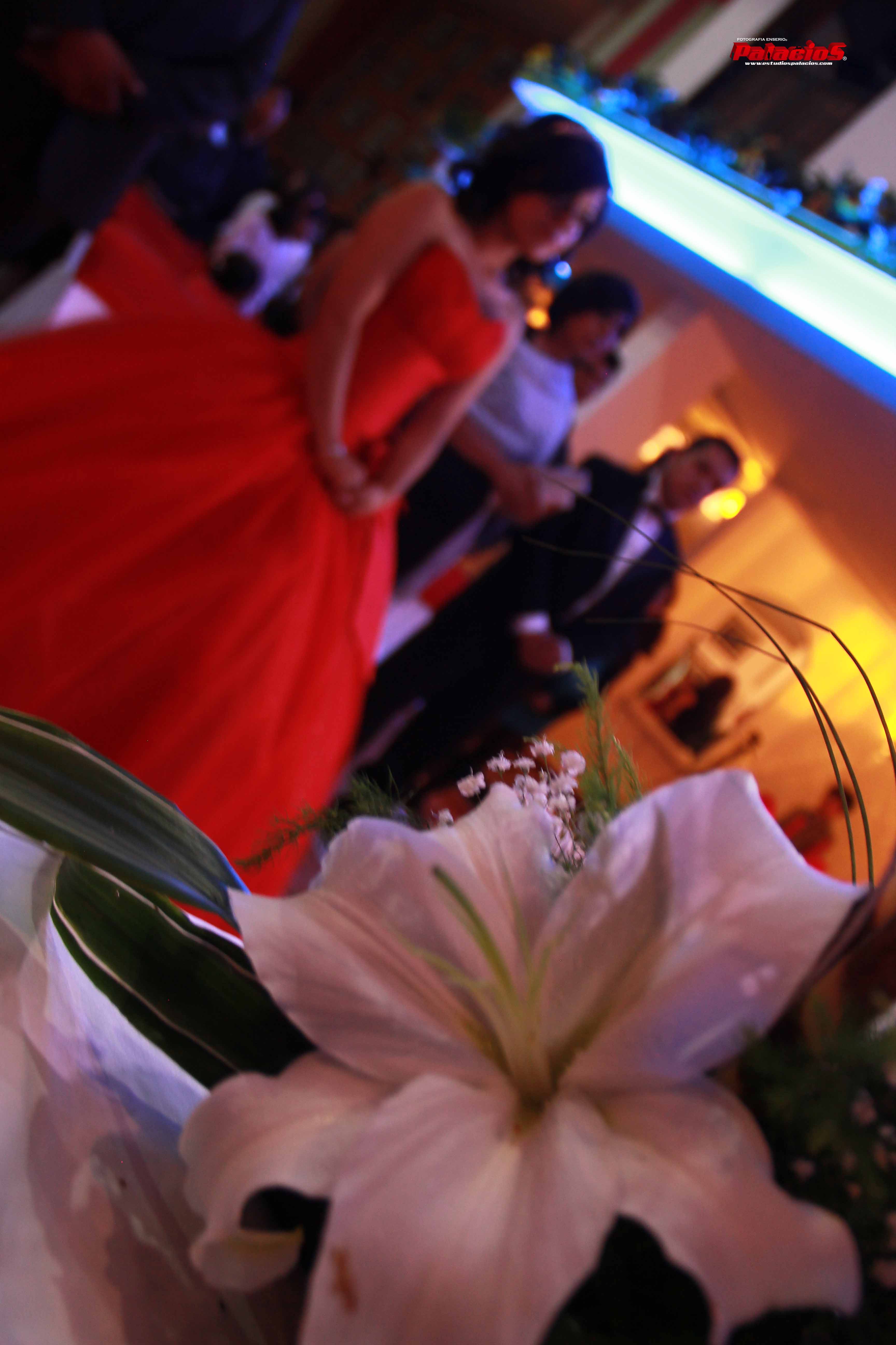 xv años50