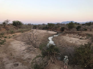 Chitake Springs Walking Safari