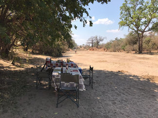 Chitake Lunch on Mobile Safari