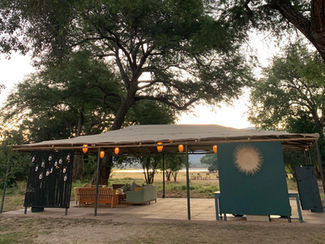 Little Vundu in Mana Pools National Park