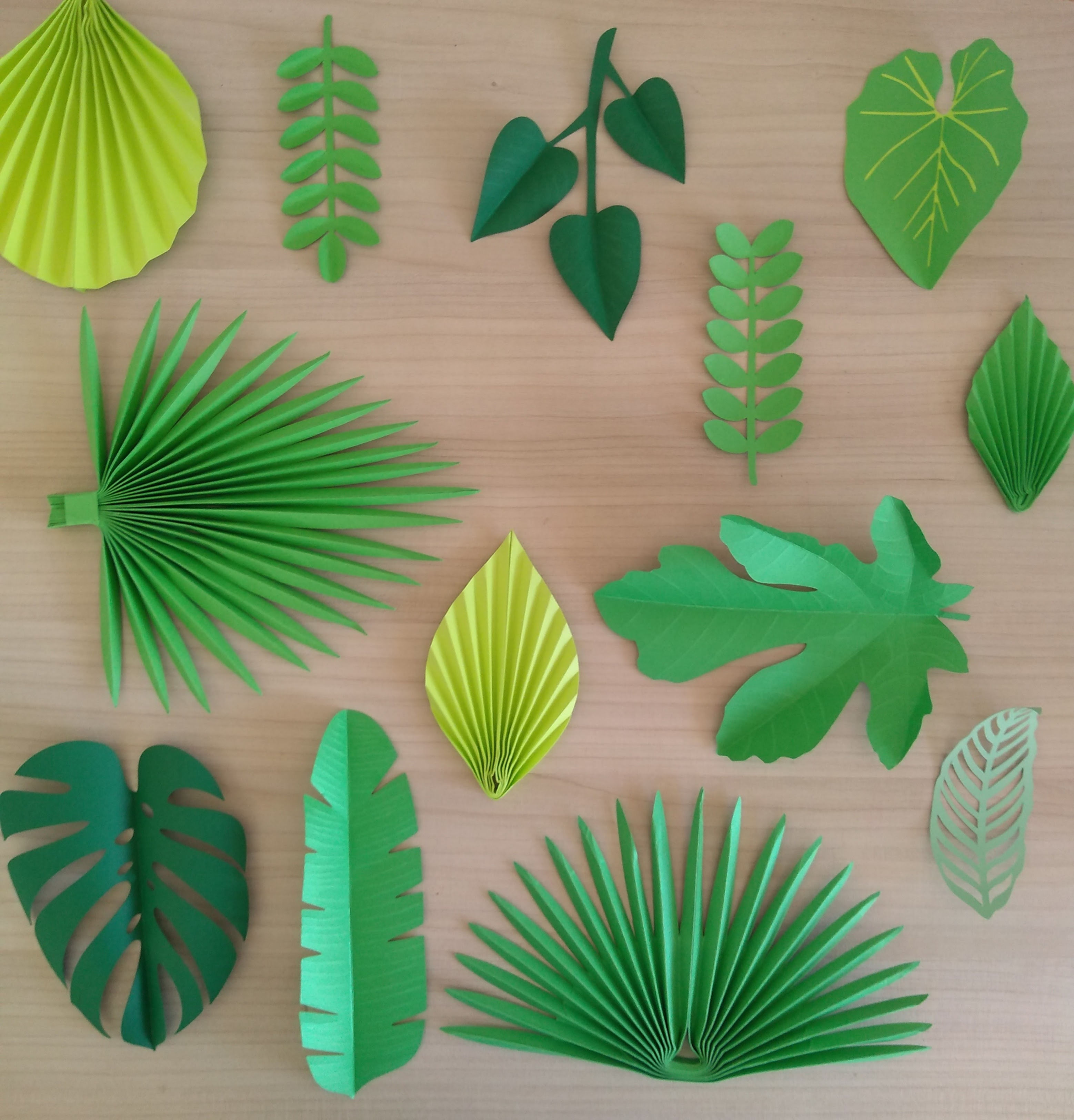 Combo Folhagens Tropicais 12 Moldes