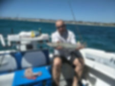 WHITING.jpeg