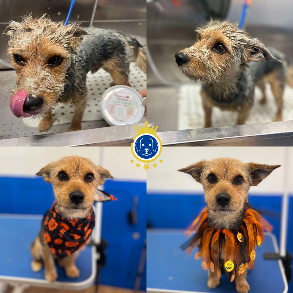 Sappy having a mud spa