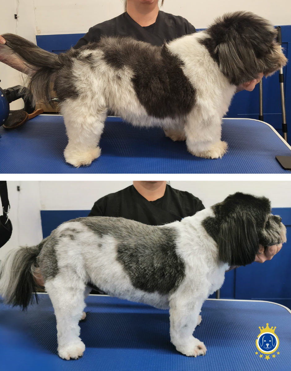 Rookley before and after