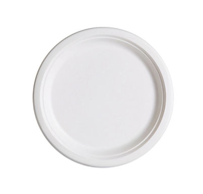 9" Compostable Plate