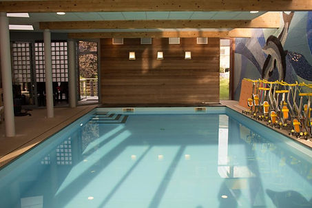 photo ppa piscine.jpg