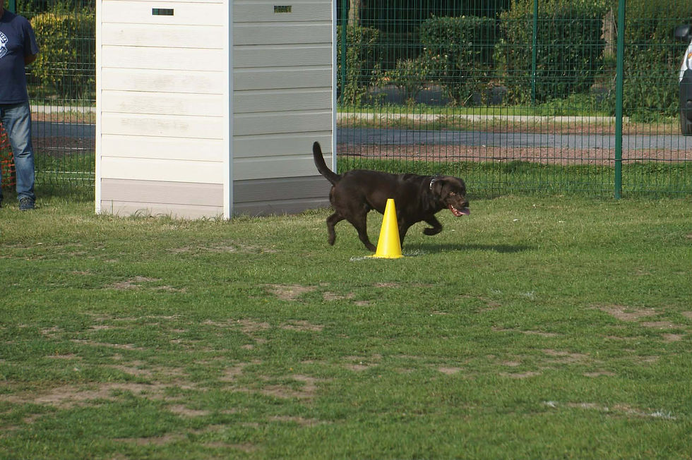 07df51af-c7d4-4aae-b611-df319f8be7f3