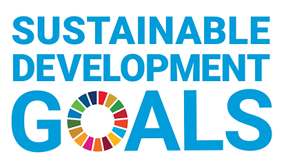 Sustainable Development Goals Logo