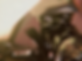 Holy Light Camera_Head_Right_Close_up1372_painting.png