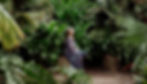 woman sitting surrounded by green foliage.jpg
