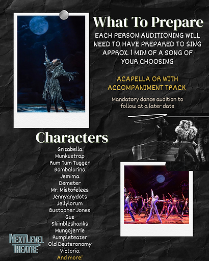 Copy of AUDITIONS TEMPLATE - 3.png