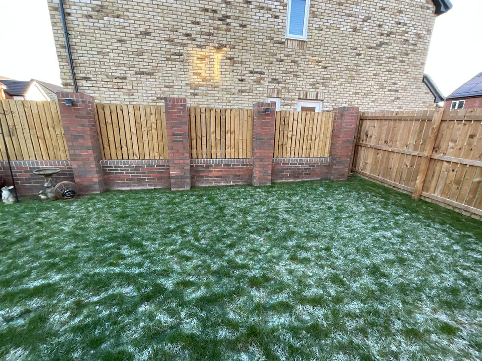 Before photo new build garden