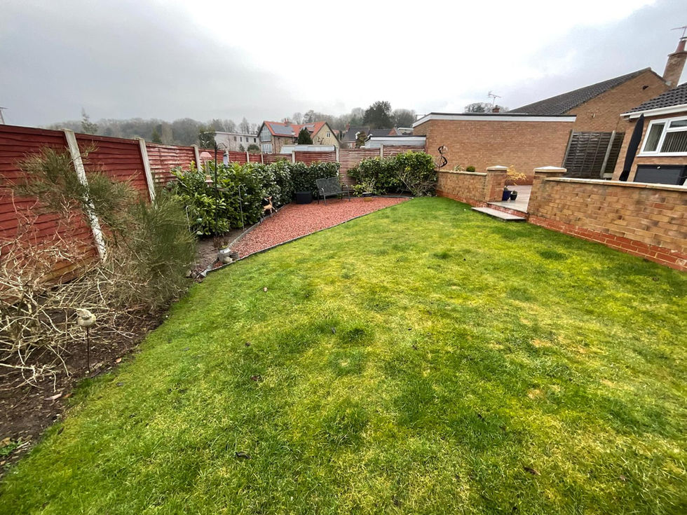 before photo back garden