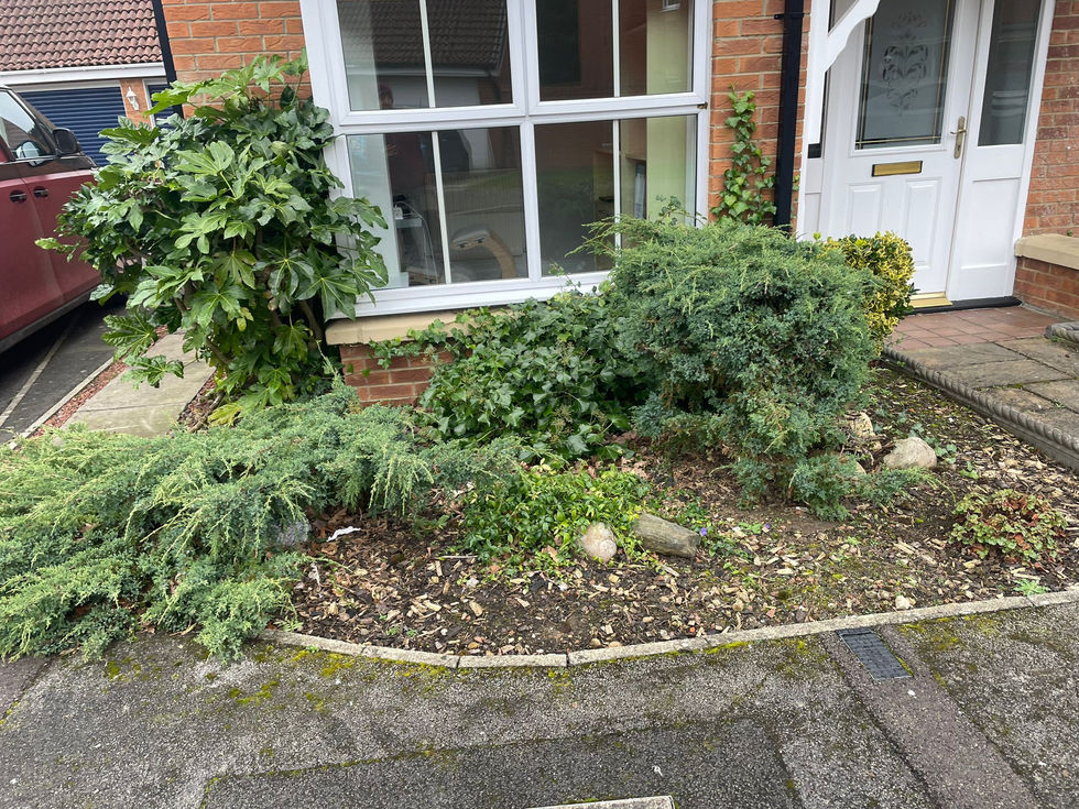 Overgrown front garden borders with mixed shrubs and uneven planting layout
