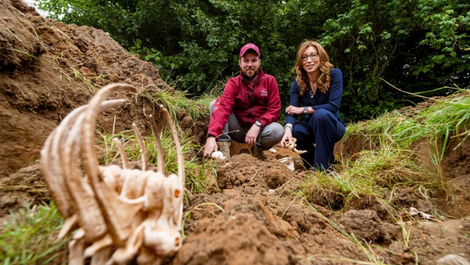Simon Wilkinson SEN Archeological Dig
