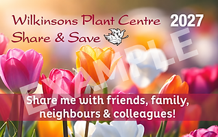 Spring Tulips Share & Save Flyer.png