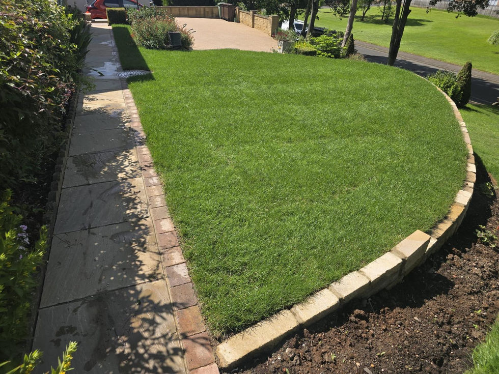 Newly turfed curved lawn bordered by natural stone retaining blocks and surrounding planting beds.