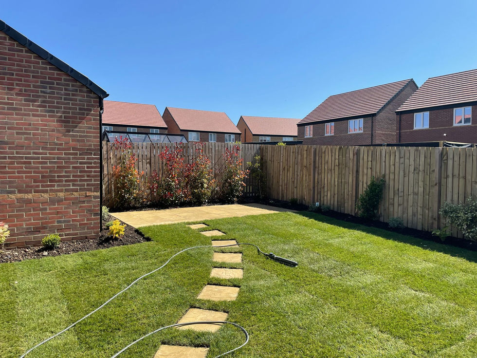 Contemporary family garden with structured borders, fresh turf and modern fencing.