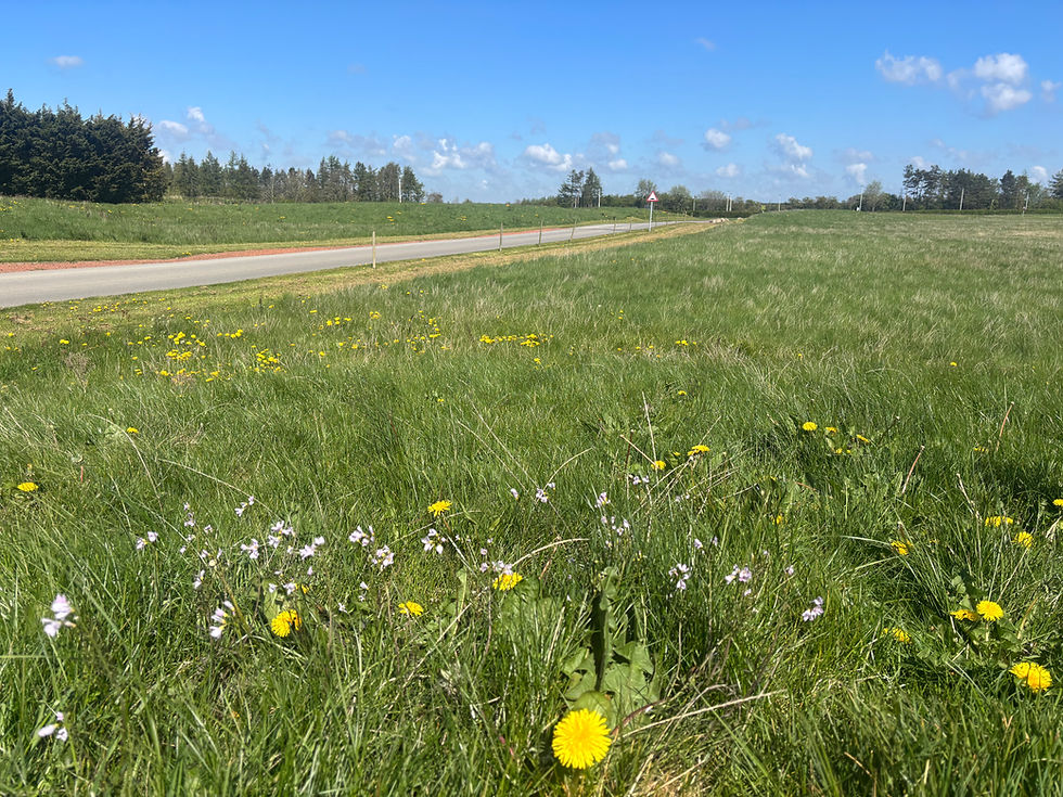 Cut Where It Matters: Our Approach to Field Management