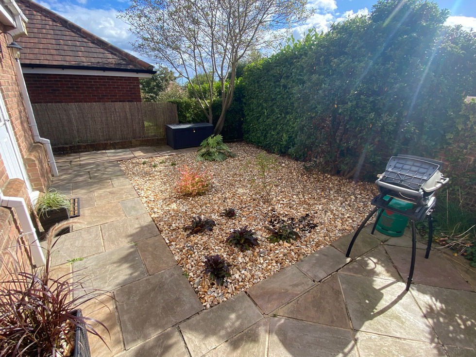 Side garden with gravel mulch, shrubs, and paved pathway