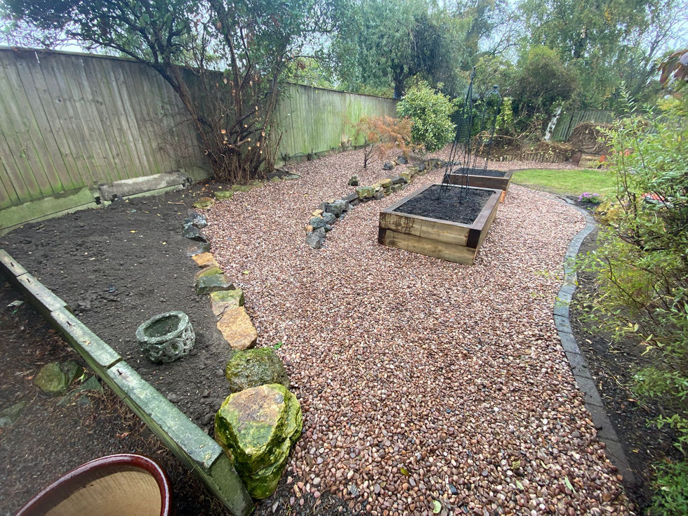 Transformed garden corner with structured planting and clean gravel surface.